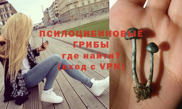 МДПВ Бутурлиновка