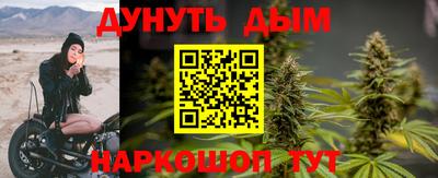 шишки Абинск