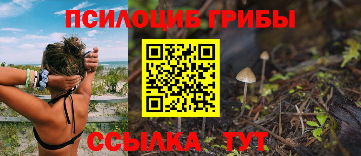 Галлюциногенные грибы мухоморы  где найти наркотики  Вход с VPN  Татарск  Галлюциногенные грибы ЛСД 